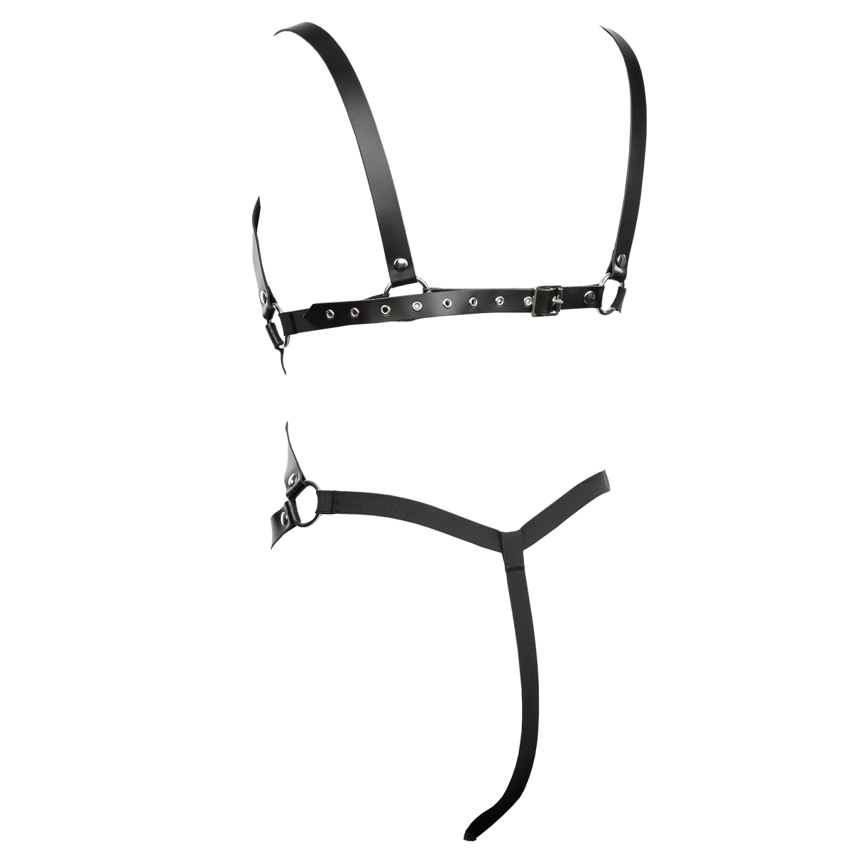 Rimba - Riemen-string body