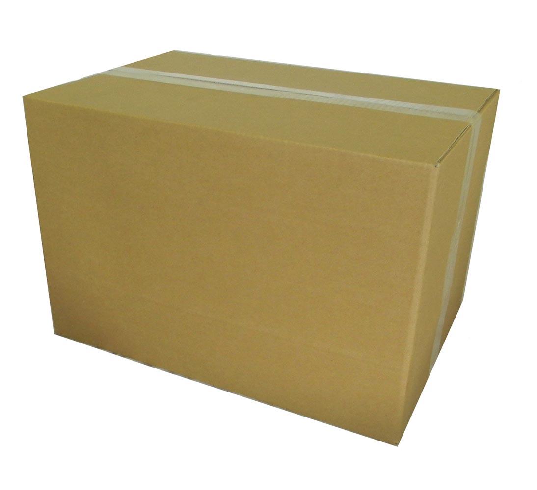 Fleshlight Riley Reid – Officieel Gelicentieerde Masturbator