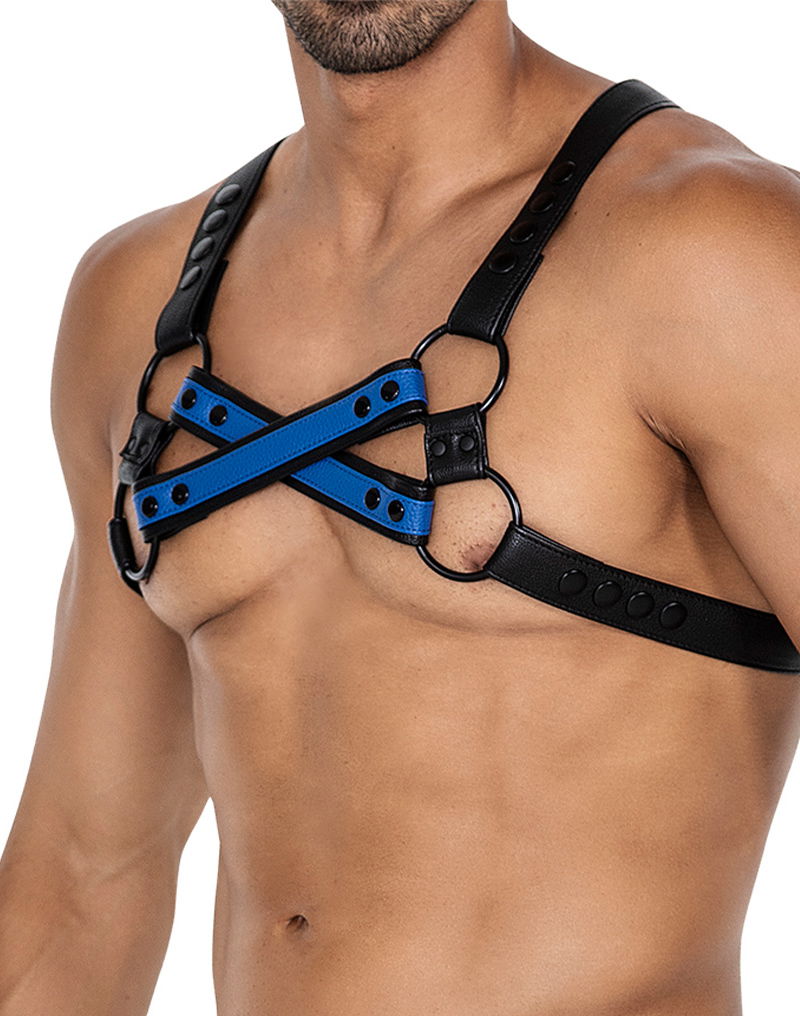 H4RNESS by C4M - 4WAY Harnas - Stralend Blauw