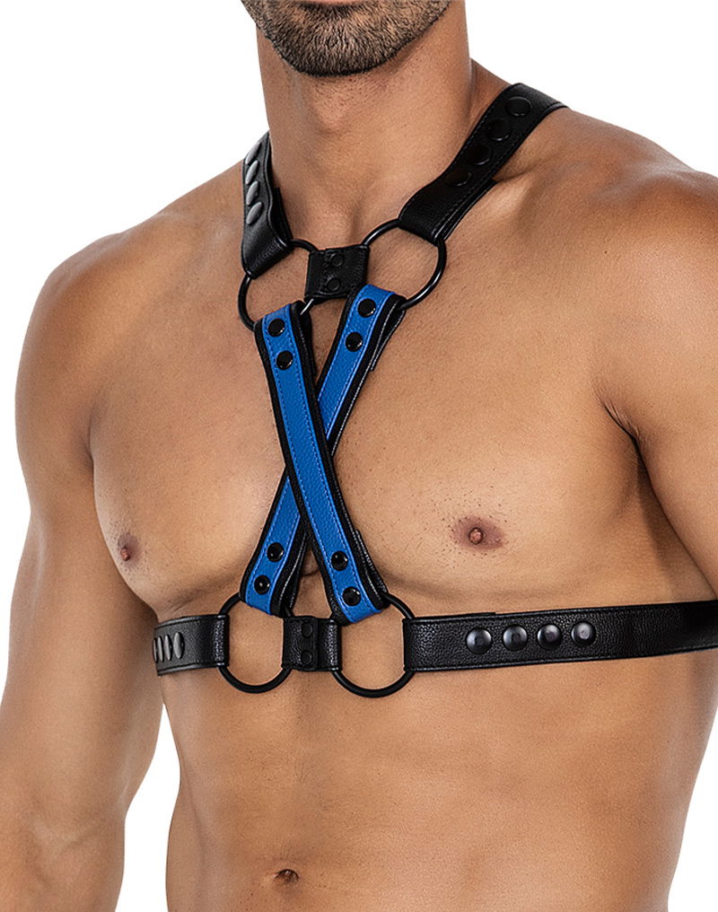 H4RNESS by C4M - 4WAY Harnas - Stralend Blauw