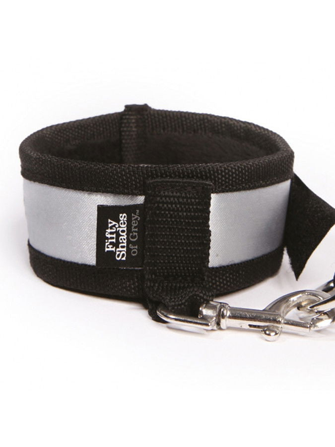 Stand to Attention - FSoG Over the Door Restraint