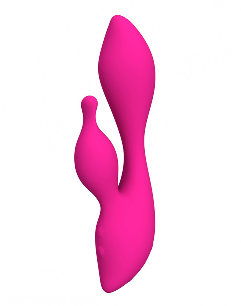 Swan - The Cygnet