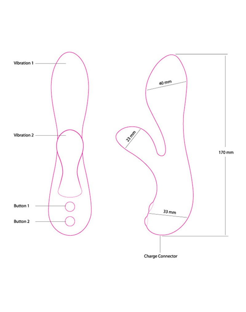 Swan - The Silver Swan