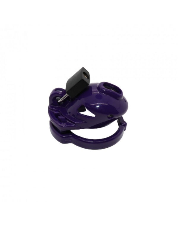 The Vice - Kuisheidskooi Micro