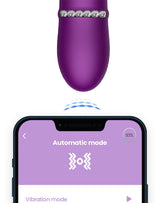 IY - Sendel - Rabbit Vibrator met kralenring en app - Paars