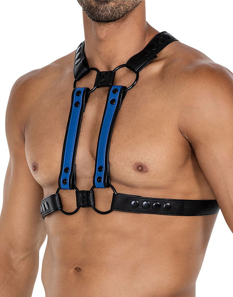 H4RNESS by C4M - 4WAY Harnas - Stralend Blauw