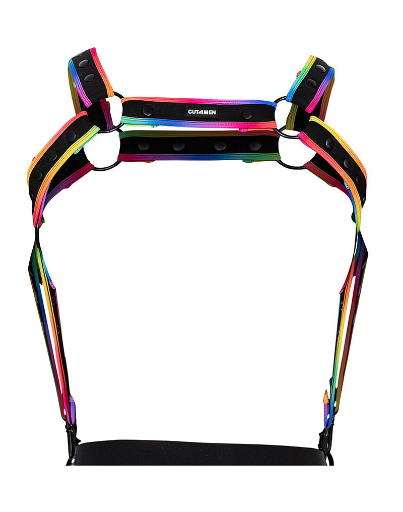 H4RNESS by C4M - NEO - Harnas - Multicolor