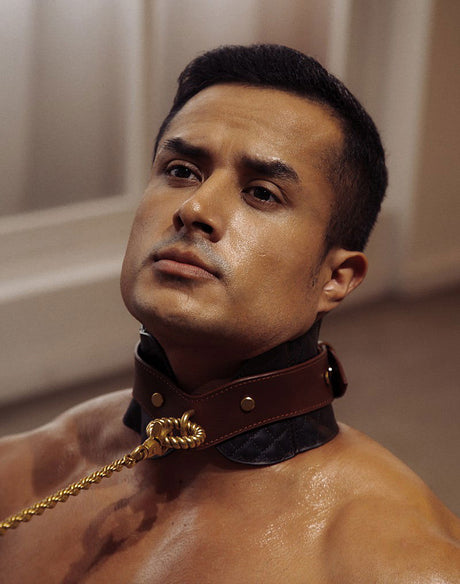 Liebe Seele - Leren Postuurhalsband met Riem - Zwart, Bruin & Goud