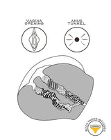 LoveToy - Streetgirls 11 - Masturbator