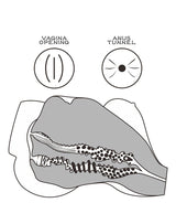 LoveToy - Streetgirls 7 - Masturbator