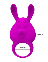 Pretty Love - Naughty Bunny
