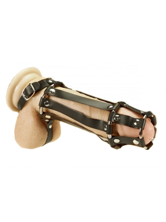 Rimba - Penis koker met balzakband en gesp