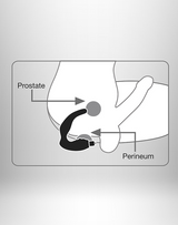 Rocks-Off Naughty Boy Intense 10