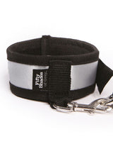 Stand to Attention - FSoG Over the Door Restraint