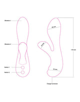 Swan - The Silver Swan