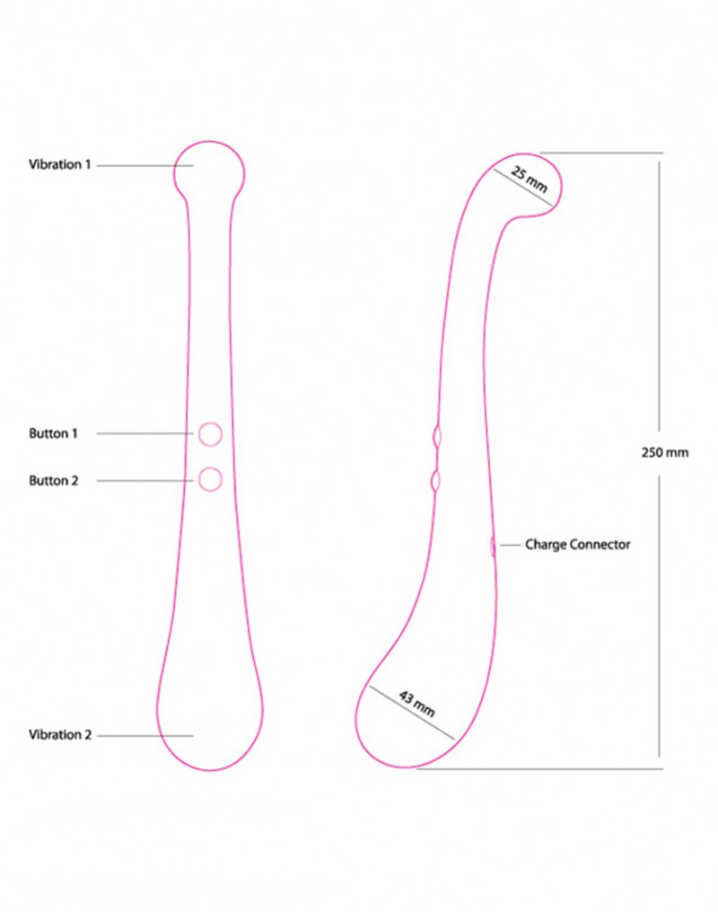 Swan - The Trumpeter