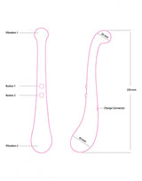 Swan - The Trumpeter